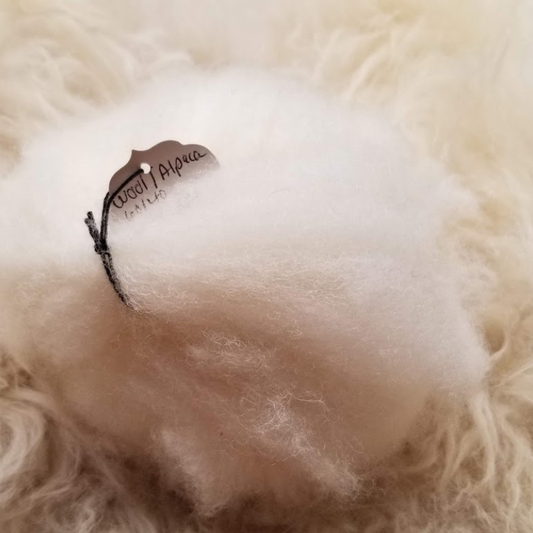 White undyed Romney Alpaca roving