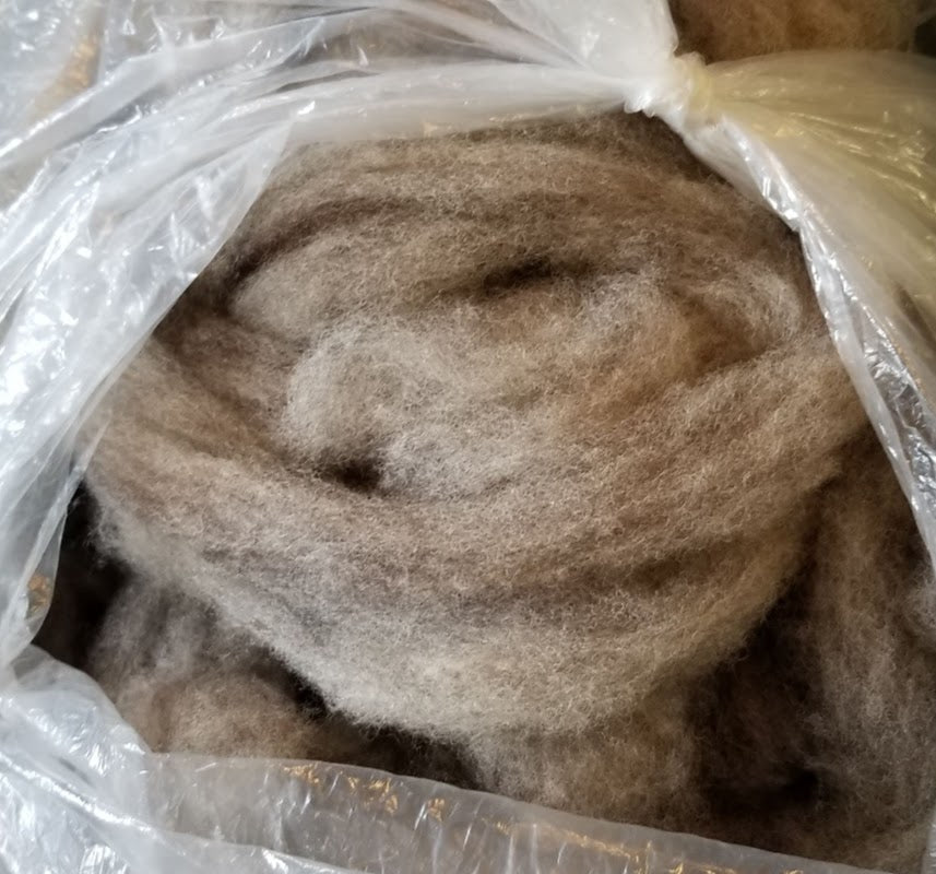 Gray Romney Shropshire carded roving in bag